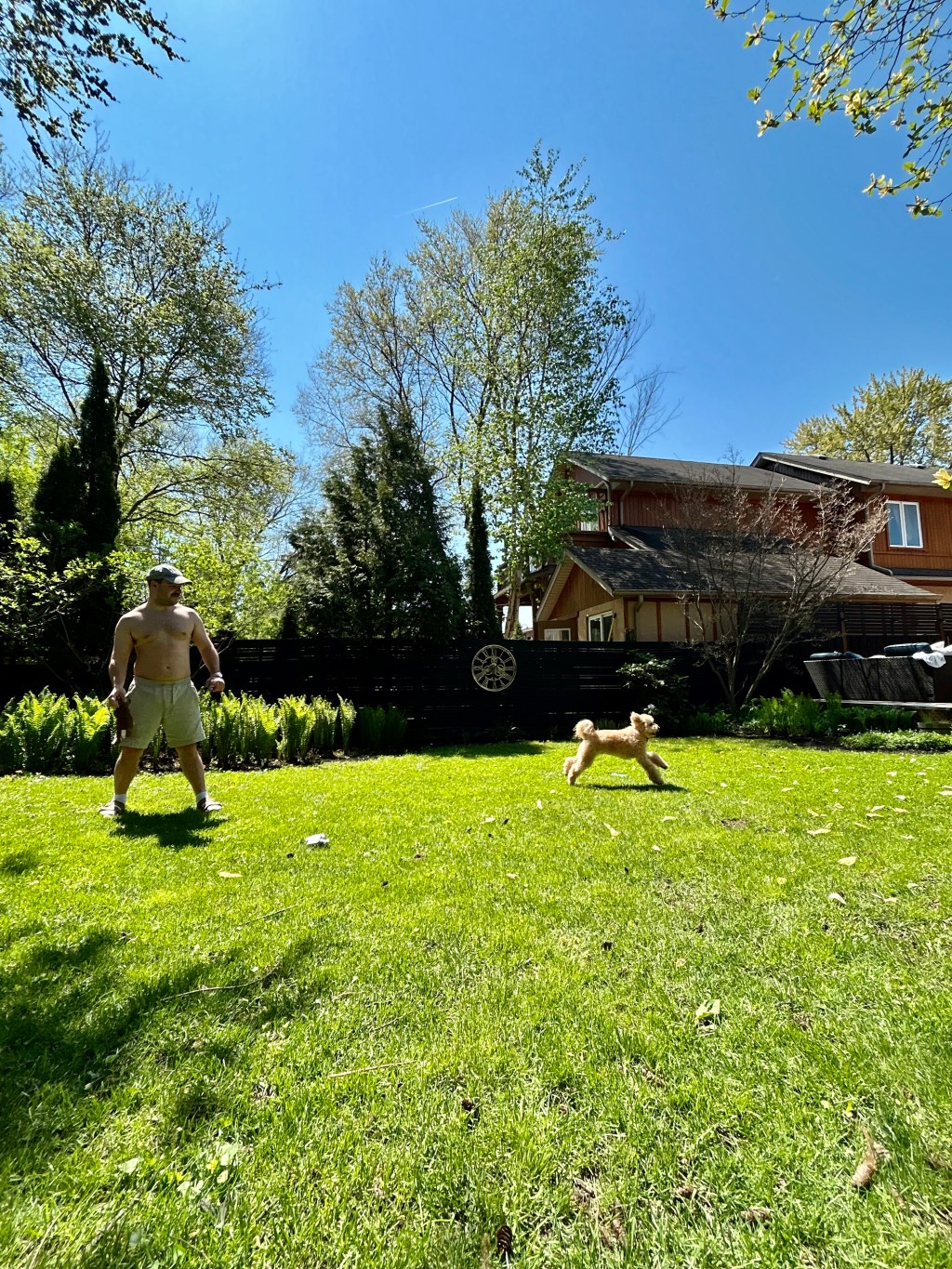 Sitting In The Sun, Deciding What I Want To Be When I Grow Up… Weekly R.E.P.O.R.T.
